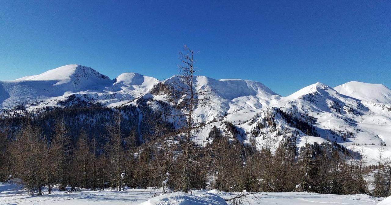 Residence Alba Montis Bad Kleinkirchheim Eksteriør billede